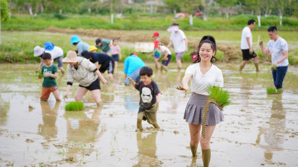 Young Chinese are 'retiring' to rural areas as China's unemployment woes mount